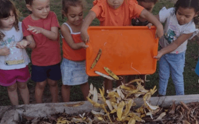 Creche Menino Jesus é reconhecida com prêmio nacional por práticas inovadoras em educação ambiental