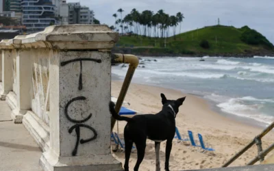 Disputa entre facções na Barra expõe pontos turísticos ao controle do crime organizado